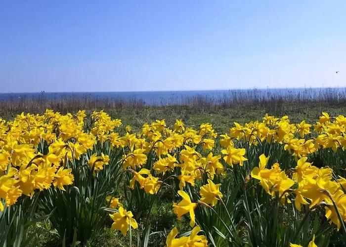 Meerblick * Sierksdorf
