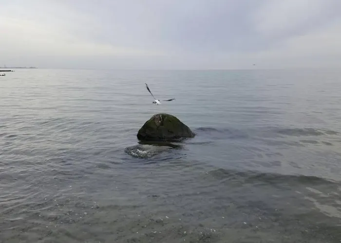 Meerblick * Sierksdorf